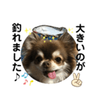 トラ（犬）の釣りスタンプ（個別スタンプ：20）