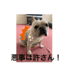 フレブルの大福の挨拶（個別スタンプ：3）