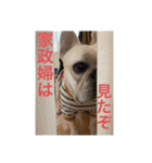 フレブルの大福の挨拶（個別スタンプ：18）