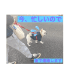 フレブルの大福の挨拶（個別スタンプ：23）