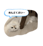 こてつとこうめスタンプ（個別スタンプ：3）
