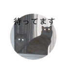 こてつとこうめスタンプ（個別スタンプ：14）