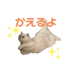 こてつとこうめスタンプ（個別スタンプ：16）