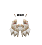 もふもふポメラニアンのぽぽ2（個別スタンプ：14）