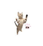我が家のこてつ第二弾（個別スタンプ：20）