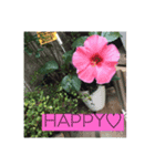 HAPPY stickers ⒉♡（個別スタンプ：1）