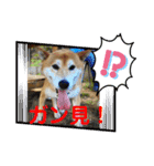 ラッキー✨（個別スタンプ：9）