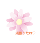 褒めスタンプ♡♡（個別スタンプ：4）