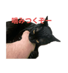 黒猫イッシーのやんちゃスタンプ（個別スタンプ：1）