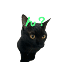 黒猫イッシーのやんちゃスタンプ（個別スタンプ：8）