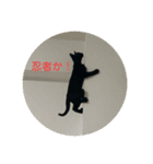 黒猫イッシーのやんちゃスタンプ（個別スタンプ：10）