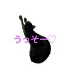 黒猫イッシーのやんちゃスタンプ（個別スタンプ：13）