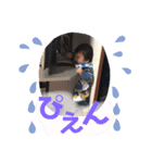 毎日ピロくん10（個別スタンプ：1）