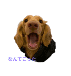 RUDY and WAVE（個別スタンプ：4）