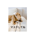 RUDY and WAVE（個別スタンプ：7）
