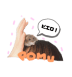 セスココポムverr（個別スタンプ：4）