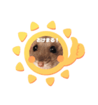 セスココポムverr（個別スタンプ：5）