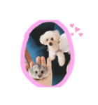 セスココポムverr（個別スタンプ：8）
