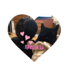 柴犬 つぶみすたんぷ（個別スタンプ：12）