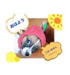 Rは無限大（個別スタンプ：1）