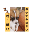 Rは無限大（個別スタンプ：2）