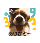 Rは無限大（個別スタンプ：3）
