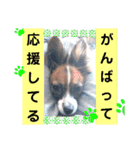 Rは無限大（個別スタンプ：5）