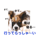 Rは無限大（個別スタンプ：6）