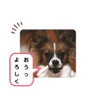 Rは無限大（個別スタンプ：9）