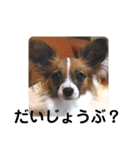 Rは無限大（個別スタンプ：10）