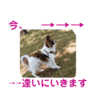 Rは無限大（個別スタンプ：11）