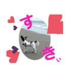 Rは無限大（個別スタンプ：12）
