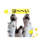 Rは無限大（個別スタンプ：13）