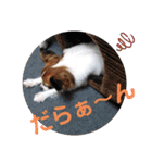 Rは無限大（個別スタンプ：15）