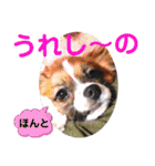 Rは無限大（個別スタンプ：16）