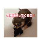 まーちゃんあーちゃん（個別スタンプ：1）