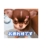まーちゃんあーちゃん（個別スタンプ：2）