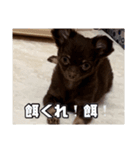 まーちゃんあーちゃん（個別スタンプ：3）