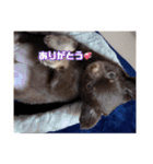 まーちゃんあーちゃん（個別スタンプ：4）