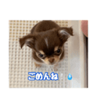 まーちゃんあーちゃん（個別スタンプ：6）