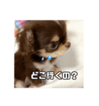 まーちゃんあーちゃん（個別スタンプ：8）