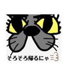 ブザネコ（個別スタンプ：6）