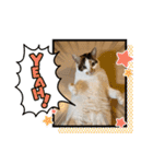 さつきちゃんスタンプ③（個別スタンプ：1）