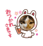 さつきちゃんスタンプ③（個別スタンプ：4）