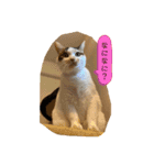 さつきちゃんスタンプ③（個別スタンプ：9）