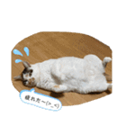 さつきちゃんスタンプ③（個別スタンプ：11）