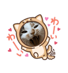 さつきちゃんスタンプ③（個別スタンプ：13）