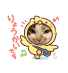 さつきちゃんスタンプ③（個別スタンプ：17）