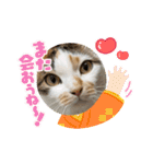 さつきちゃんスタンプ③（個別スタンプ：22）