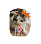 さつきちゃんスタンプ③（個別スタンプ：23）